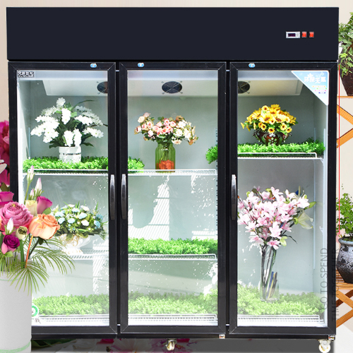 带你了解鲜花展示柜的外观和特点