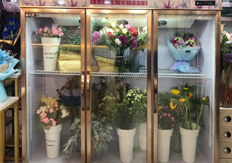 鲜花保鲜展示柜